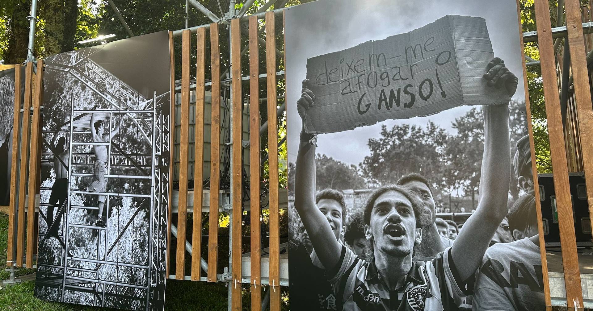 No vale onde a música ecoa, fotógrafo Alfredo Cunha abre o "álbum de memórias" do Paredes de Coura