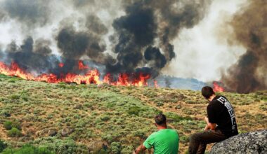 Incêndios: operações de rescaldo estão a ficar comprometidas, alertam especialistas