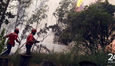 Incêndio em Oliveira do Hospital leva ao desespero presidente da Câmara: "Não há avião, meio aéreo, não há nada. Estamos no meio do caos e ninguém faz nada" - Atualidade