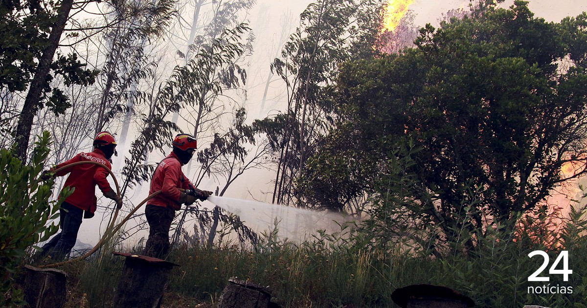 Incêndio em Oliveira do Hospital leva ao desespero presidente da Câmara: "Não há avião, meio aéreo, não há nada. Estamos no meio do caos e ninguém faz nada" - Atualidade