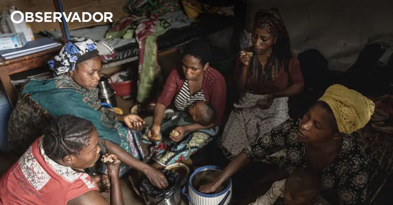 Moçambique. Conflitos e mudanças climáticas disseminam Mpox – Observador