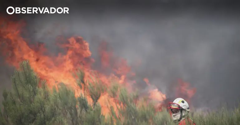 Ex-autarca de Vila Franca de Deão morre a combater incêndio – Observador