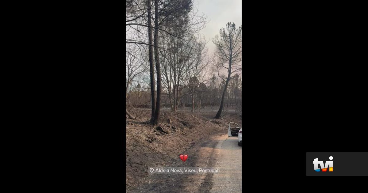 Tudo em cinzas. Ex-concorrente mostra rasto da destruição dos incêndios - Big Brother