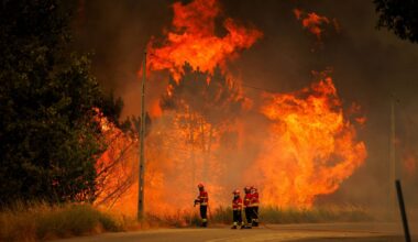 Fogos consumiram este ano 139 mil hectares, quase metade dos quais em apenas dois dias