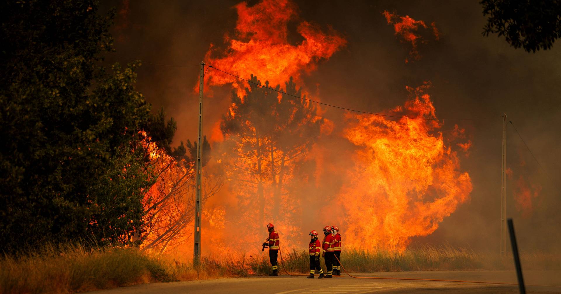 Fogos consumiram este ano 139 mil hectares, quase metade dos quais em apenas dois dias