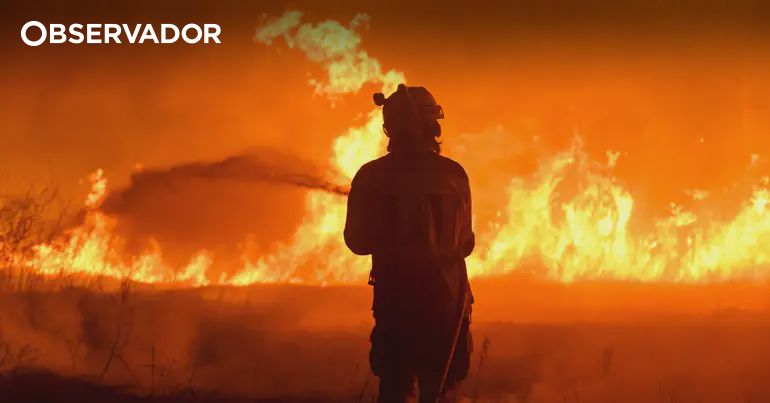 Incêndios "descontrolados" na Galiza, Castela e Extremadura – Observador