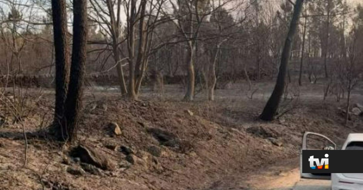Incêndio deixou tudo em cinzas. Ex-concorrente mostra rasto da destruição após as chamas - Big Brother