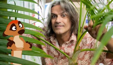 “Vim fazer o casting do Timon para o ‘Mufasa’, mas não fui escolhido. Dos atores que fizeram os originais, só o José Raposo é que ficou”