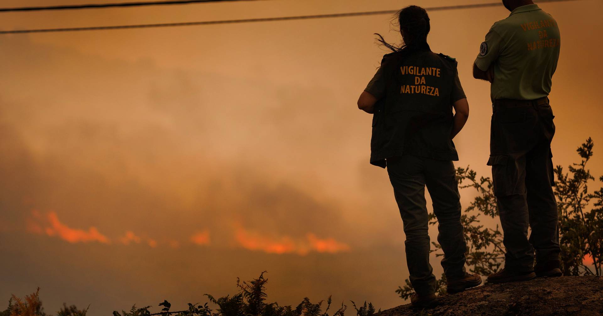 Incêndio destrói casas e deixa rasto de destruição "muito grande" em Aguiar da Beira
