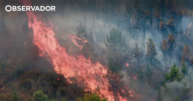 "Um inferno", "parece o fim do mundo" – Observador