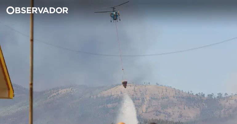 Coimbra. Pescadores mobilizam-se para comprar meio aéreo – Observador