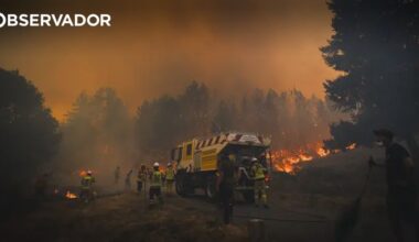 PJ deteve mulher suspeita de atear fogo em Vila Real – Observador