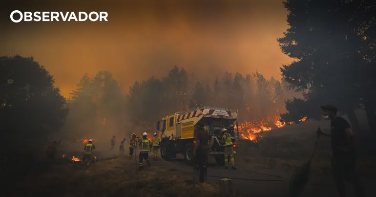 PJ deteve mulher suspeita de atear fogo em Vila Real – Observador