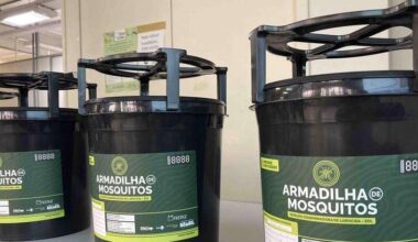 Porto Alegre terá nova tecnologia para controle do mosquito da dengue