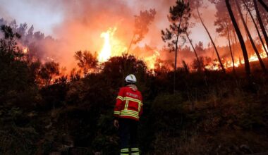 Quase 2.800 operacionais combatem cinco grandes incêndios ativos em Portugal - Expresso