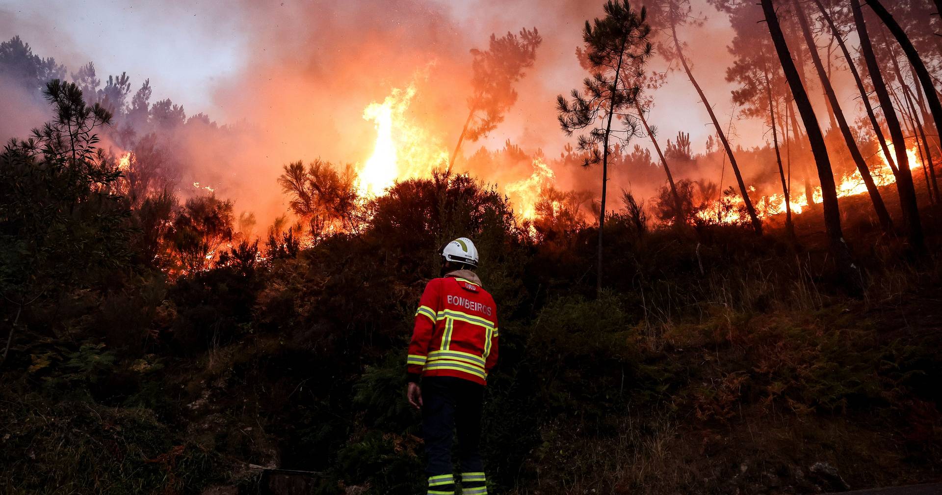 Quase 2.800 operacionais combatem cinco grandes incêndios ativos em Portugal - Expresso