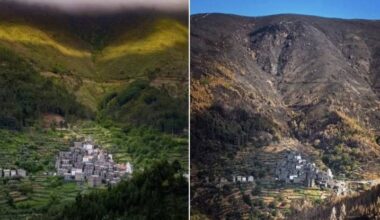 Do verde ao negro quase total: o antes e depois dos fogos na Serra do Açor, em Piódão