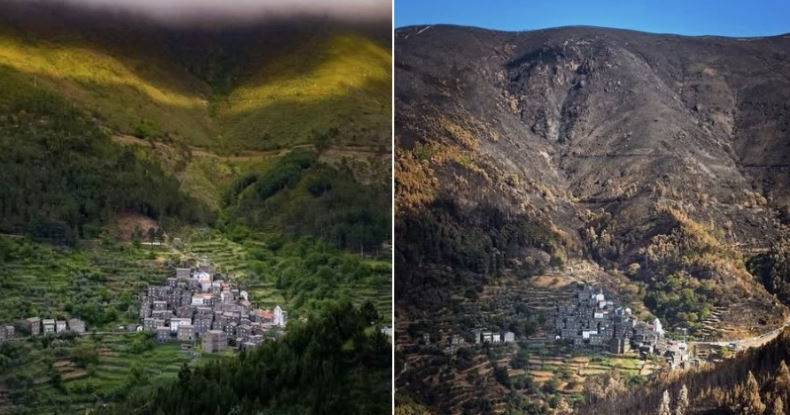 Do verde ao negro quase total: o antes e depois dos fogos na Serra do Açor, em Piódão
