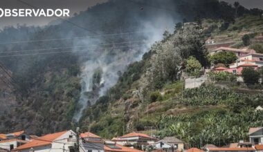 PSP identifica dois homens por fogo posto e queimada ilegal – Observador