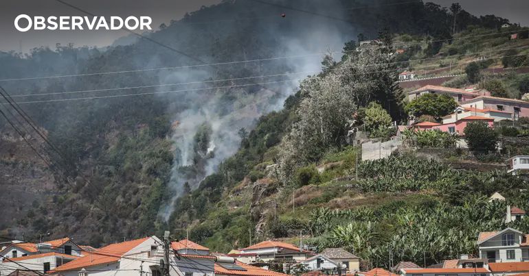 PSP identifica dois homens por fogo posto e queimada ilegal – Observador