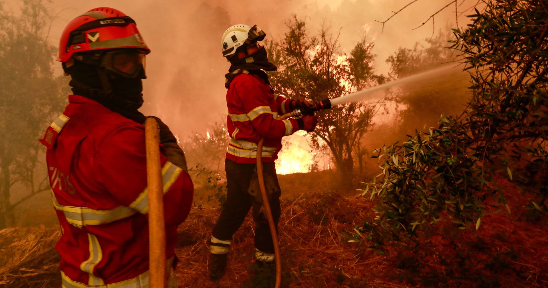 Autarca afirma que situação no Fundão é “bastante crítica”: “estamos a operar com os meios próprios” no combate aos fogos