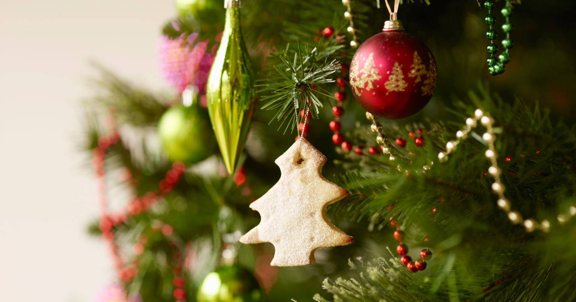 Ministério altera período de férias de Natal nas escolas públicas