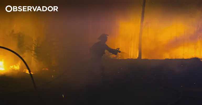 Imigrantes integrados no combate ao fogo no interior do país – Observador