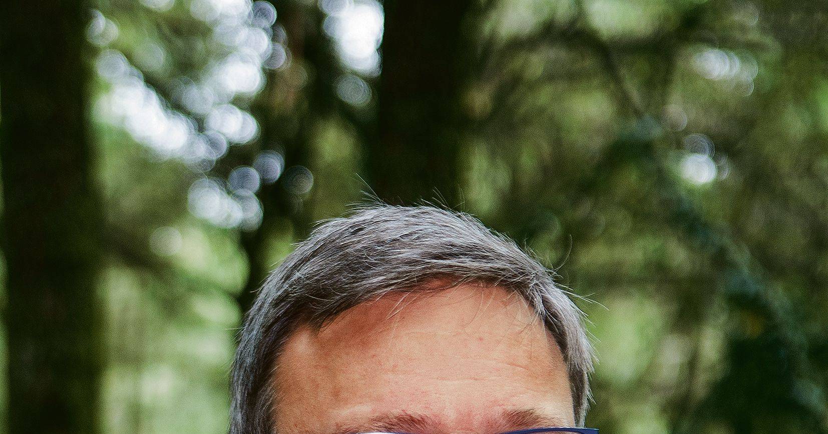 "O sistema entrou em colapso no momento em que se optou por proteger as povoações, deixando que o fogo avançasse na floresta"
