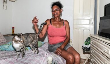 Mulheres sem-abrigo: "Acordavam com homens em cima delas, a querer roubar e violar ao mesmo tempo"