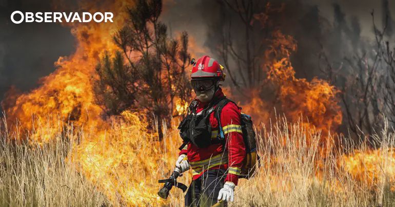 Depois do fogo, como vai ser o futuro dos bombeiros? – Observador