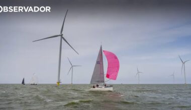 Administração Trump trava parque offshore 80% construído – Observador