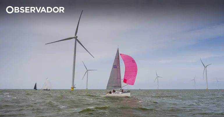 Administração Trump trava parque offshore 80% construído – Observador