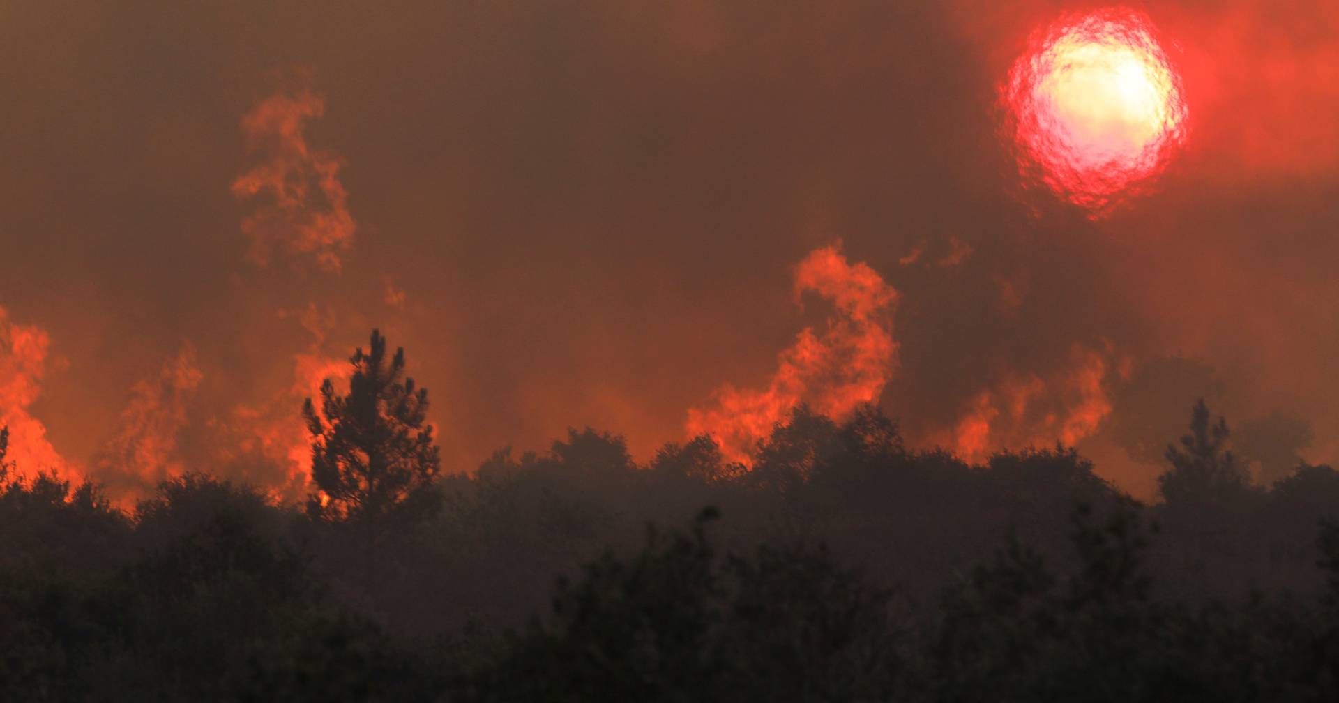 Plataforma Fogos.pt foi alvo de dois ataques informáticos: serviços não foram comprometidos
