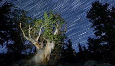 As 14 Fotos de Céu Mais Lindas de 2025, Vencedoras de Competição de Fotografia