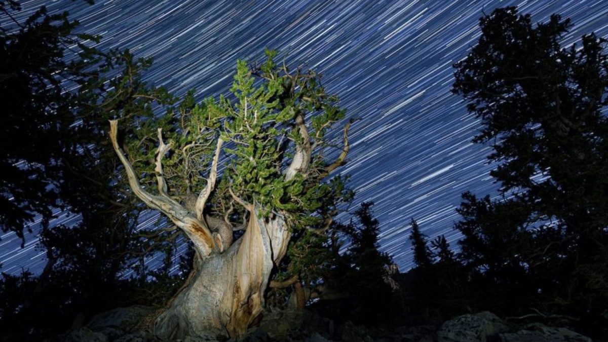 As 14 Fotos de Céu Mais Lindas de 2025, Vencedoras de Competição de Fotografia