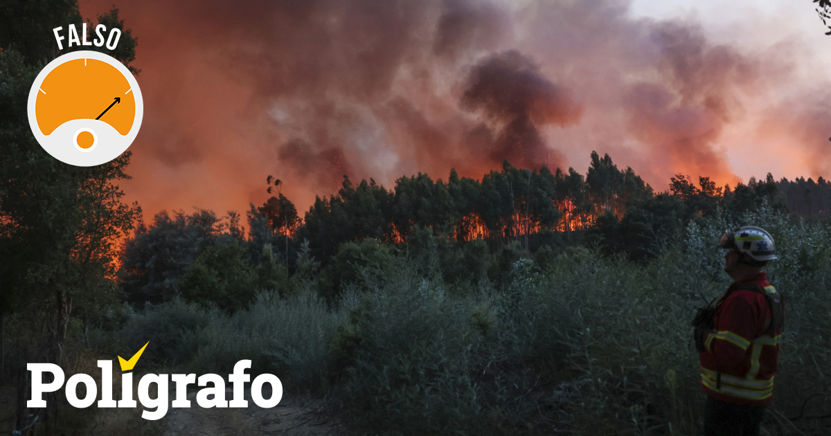 É verdade que “mais de 90% dos fogos em Portugal têm origem em ações humanas”? – Polígrafo