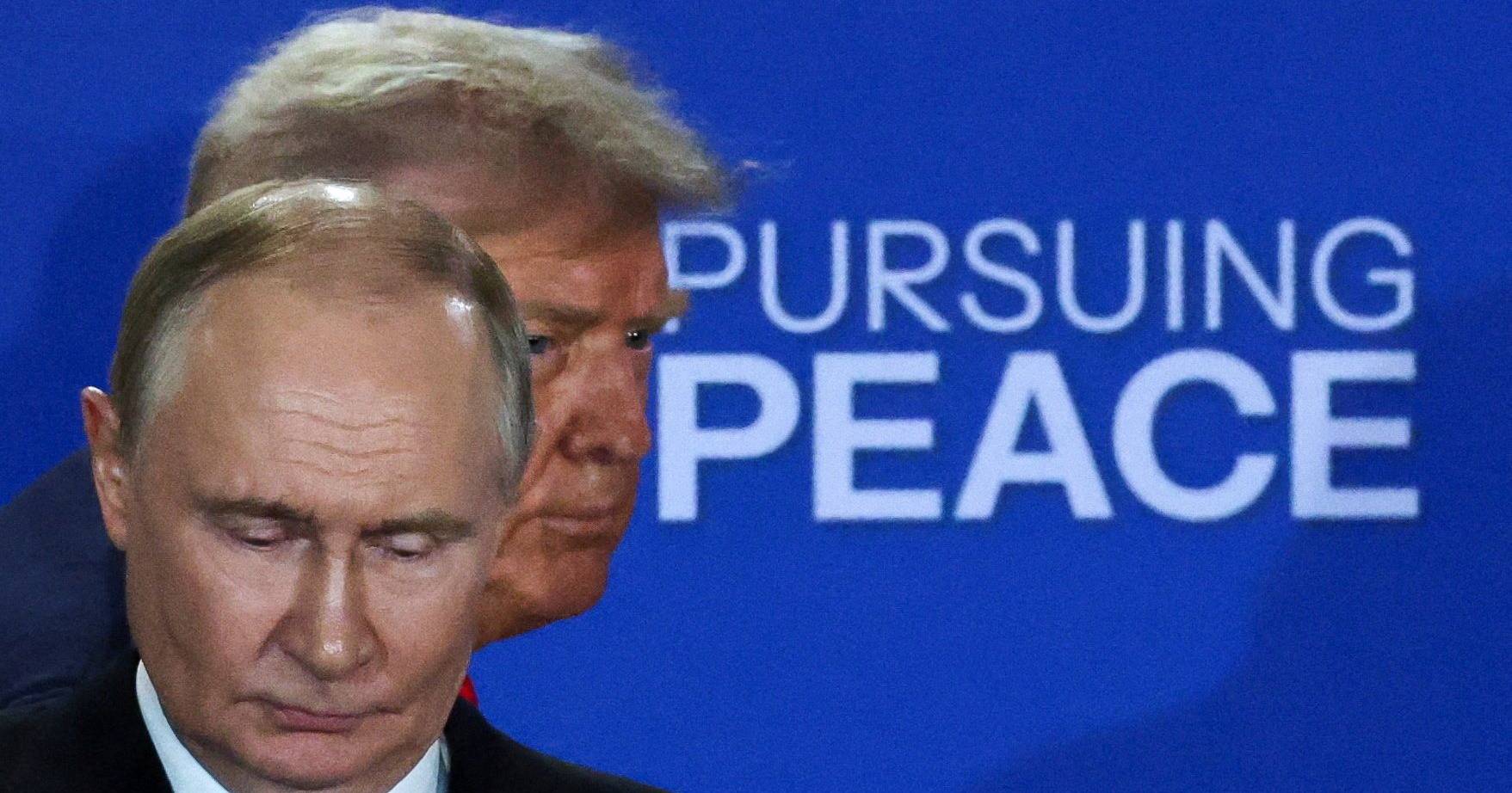 Putin e Zelensky são “azeite e vinagre”: um Trump mais impaciente pode pressionar a Rússia a pôr fim à guerra na Ucrânia?