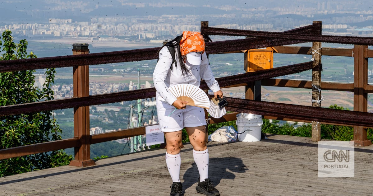 O amor anda no ar na Coreia do Sul, mas em forma de praga
