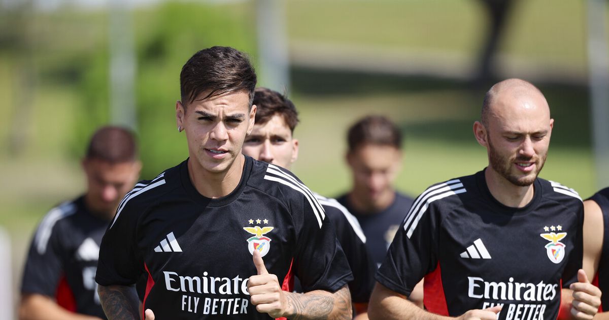 Benfica regressa aos treinos de olhos postos no Fenerbahçe