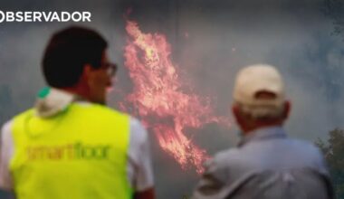 Fogo de Arganil teve a maior área ardida de sempre no país – Observador