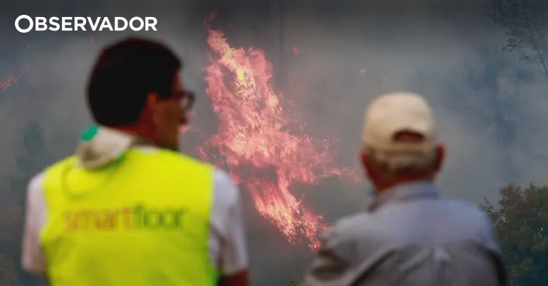 Fogo de Arganil teve a maior área ardida de sempre no país – Observador