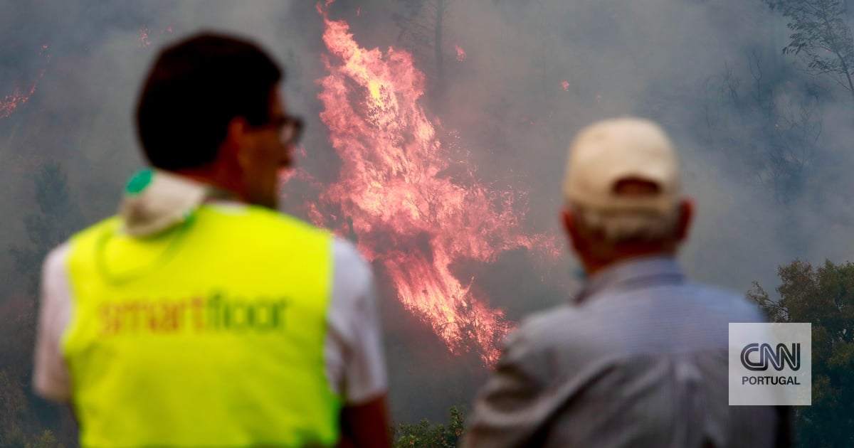 O incêndio no Fundão estava em curso e subitamente a GNR vê uma pessoa a caçar ali no meio