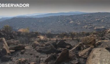 Como combater os mega incêndios que serão comuns? – Observador