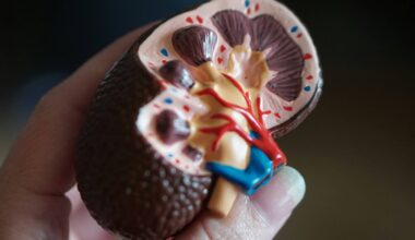 Câncer renal deve crescer quase 80% no Brasil até 2050 - 29/08/2025 - Equilíbrio e Saúde