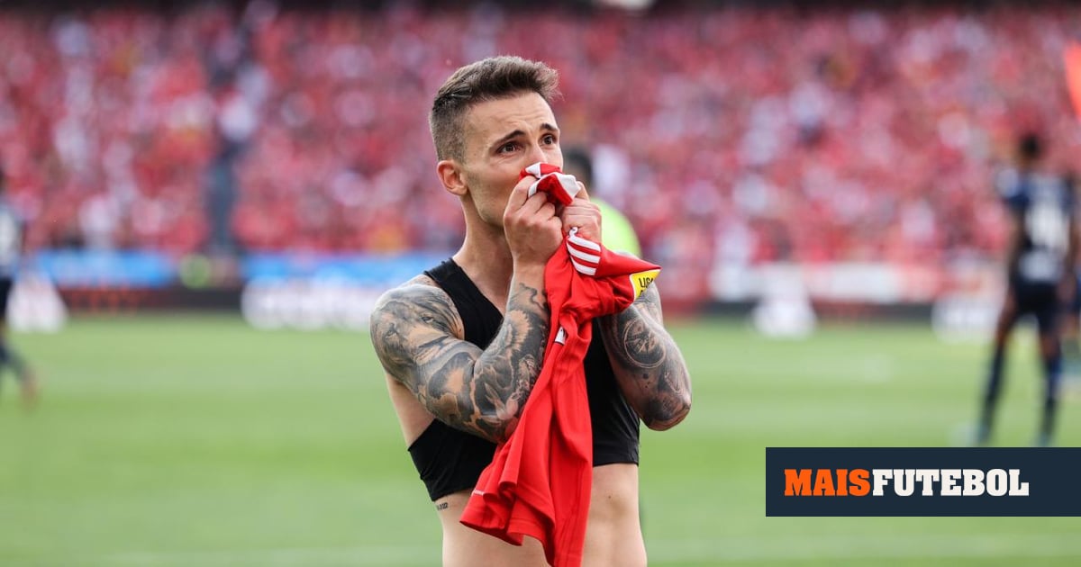 Grimaldo assinala reencontro com o Benfica: «De volta a casa»