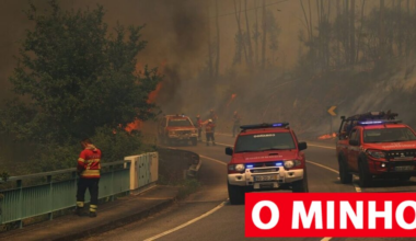 Suspeito de atear 17 incêndios em Ponte da Barca detido pela PJ