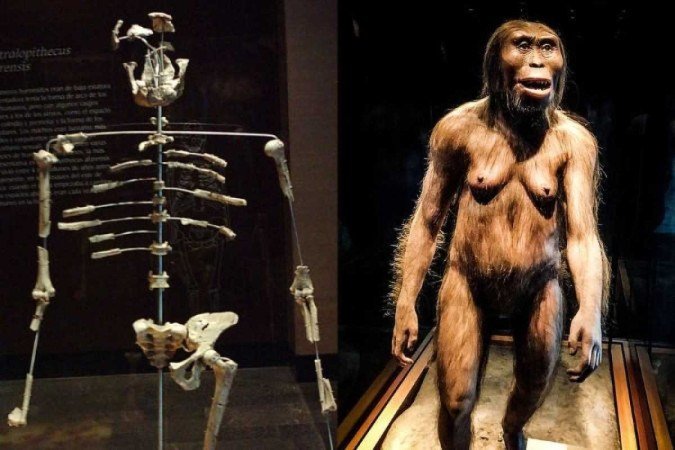 Esqueleto e reprodução de Lucy, que pertence à espécie Australopithecus afarensis -  (crédito: Reprodução/Wikimedia Commons)