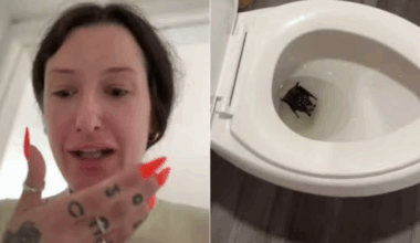 Na conta seguida por 59,8 mil internautas na rede social em questão, Doyle compartilhou um vídeo do momento.
