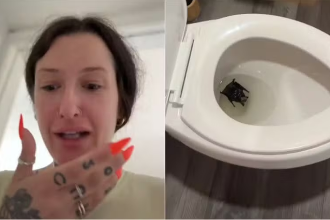 Na conta seguida por 59,8 mil internautas na rede social em questão, Doyle compartilhou um vídeo do momento.