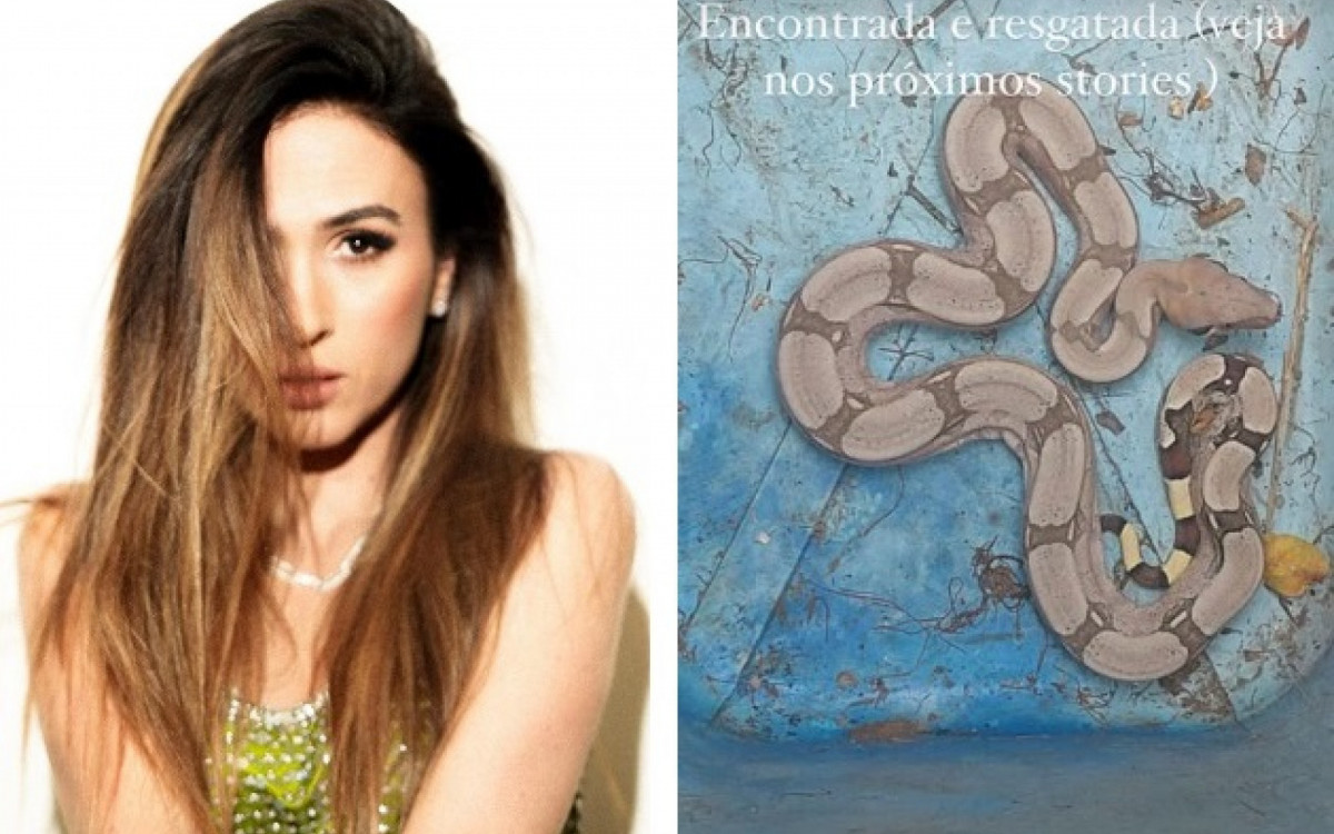 Tatá Werneck resgata cobra e leva para instituto de reabilitação silvestre | Celebridades